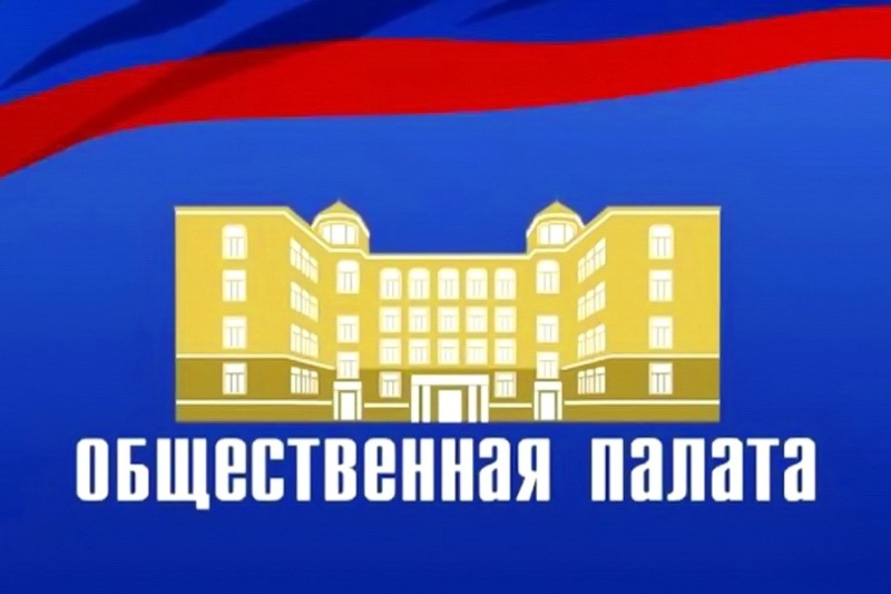 В городском округе Воскресенск начинается формирование нового состава Общественной палаты 