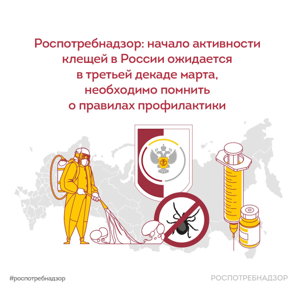 Начало активности клещей в России ожидается в третьей декаде марта