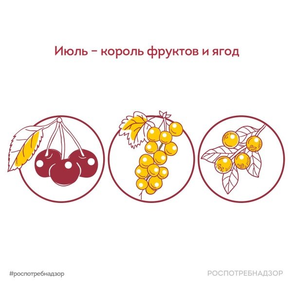 Июль – король фруктов и ягод