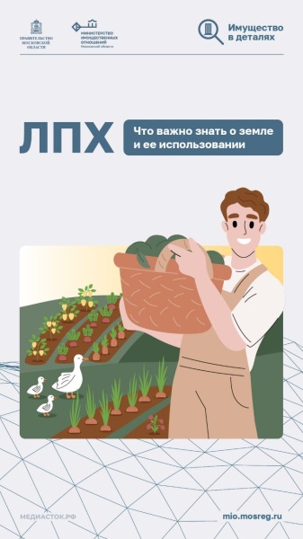 Что важно знать о земле и её использовании