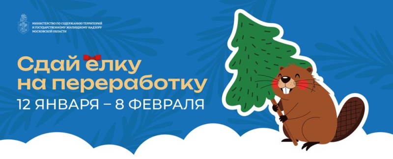 В городском округе Воскресенск пройдёт региональная акция «Сдай елку на переработку»