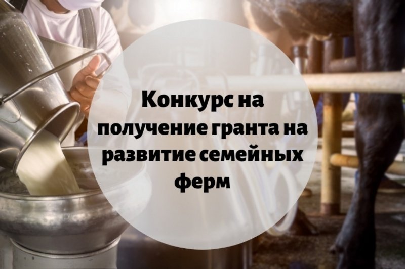  Начался прием заявок на участие в конкурсных мероприятиях по предоставлению грантов на развитие семейных ферм в 2023 году