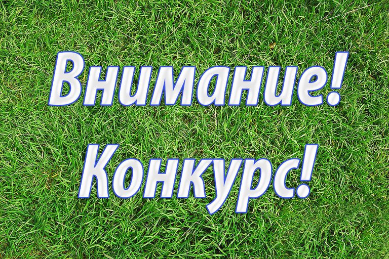 Конкурс на соискание премии за достижения в развитии российской органической продукции