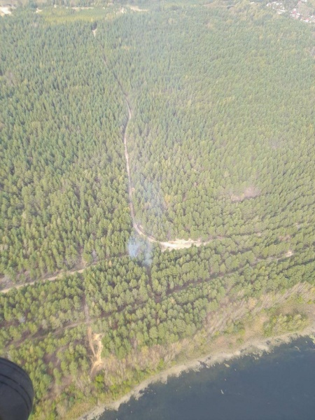 В Воскресенске оперативно ликвидировали лесной пожар