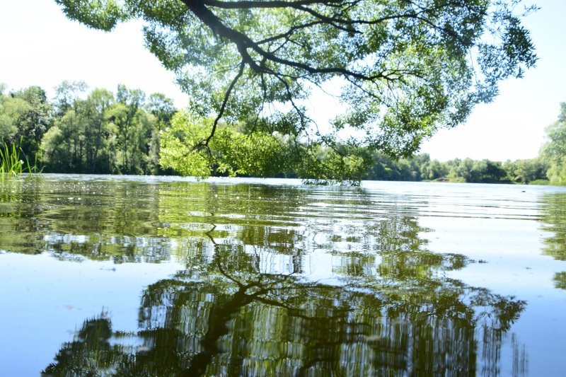 Приглашаем воскресенцев принять участие в акции "Вода России" 