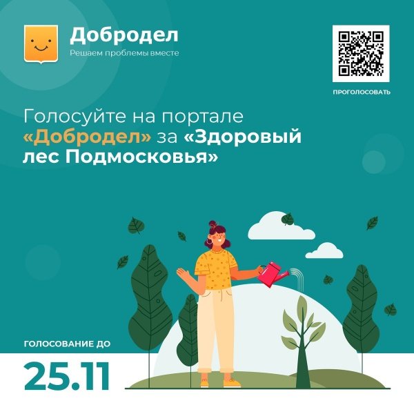 Воскресенцы могут выбрать участки леса для проведения санитарной рубки сухостойных и больных деревьев