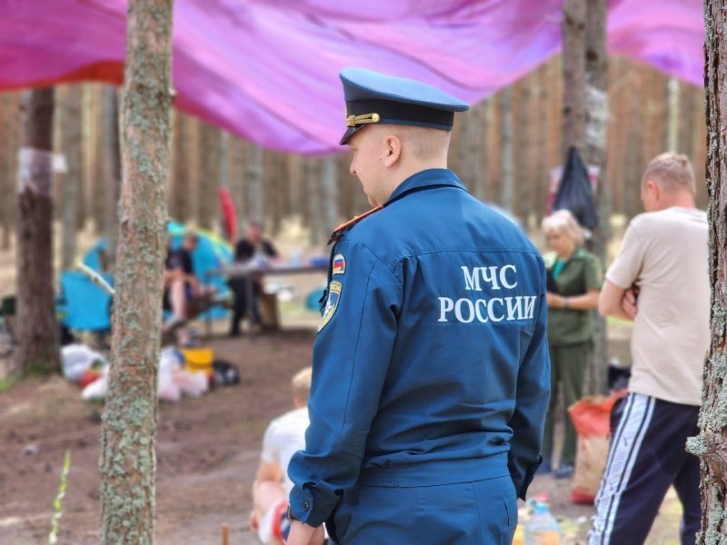 В Воскресенске сотрудники ГКУ МО «Мособллес» регулярно проводят патрулирование лесов