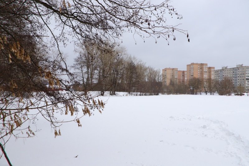 В Воскресенске расчистят пруд на реке Кепиковка 