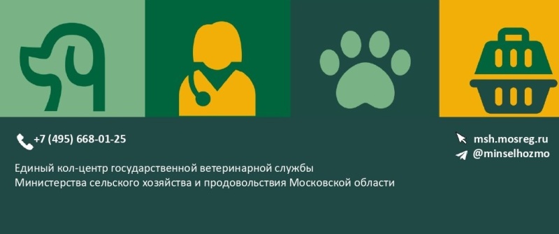 В Подмосковье запущена онлайн-регистрация домашних животных