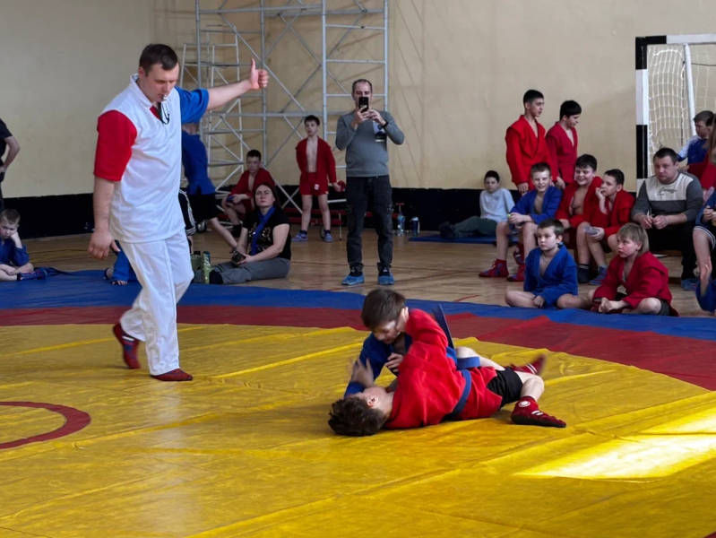 В городском округе Воскресенск провели соревнования по самбо 