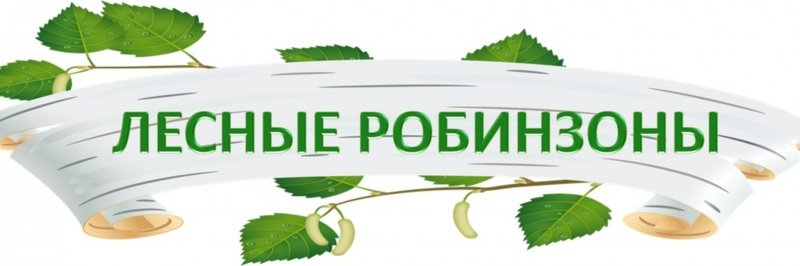 «Лесные робинзоны» проверили свои знания, участвуя в викторине