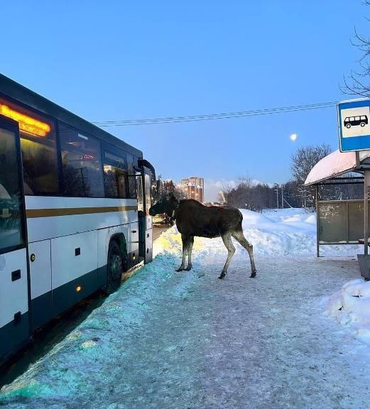 Вниманию водителей!