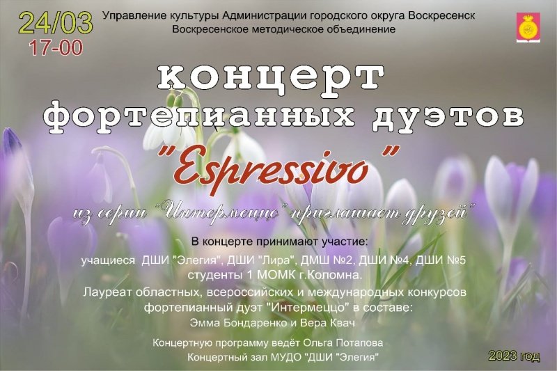 Воскресенск приглашает на концерт фортепианных дуэтов 