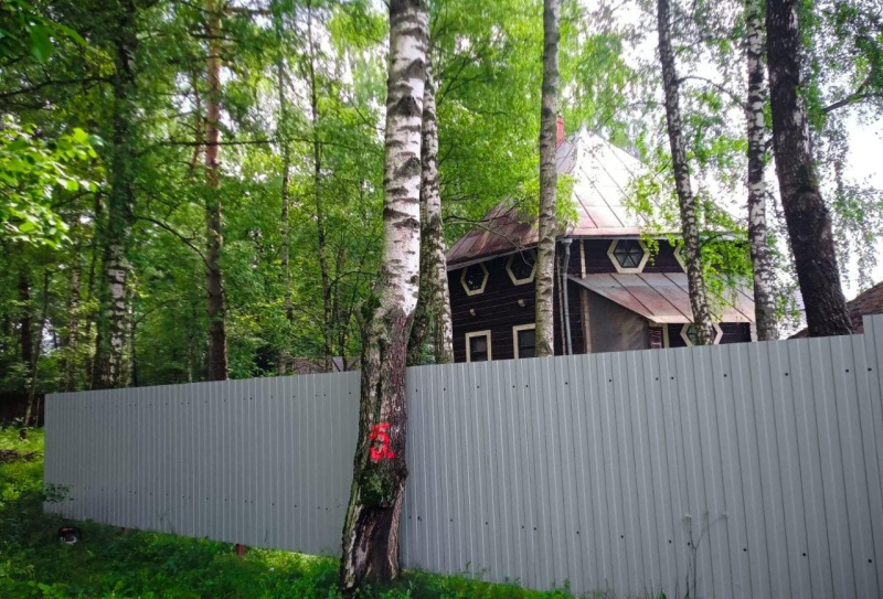 В лесах городского округа Воскресенск продолжаются работы по рубке аварийных деревьев