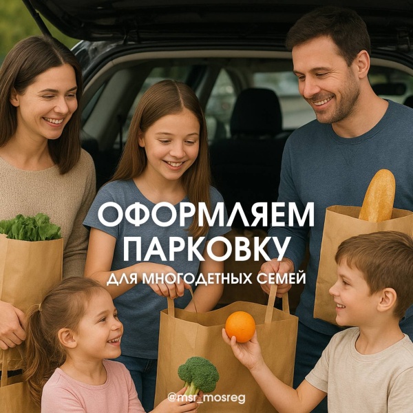 Как оформить бесплатное размещение автомобиля на платной парковке многодетной семье
