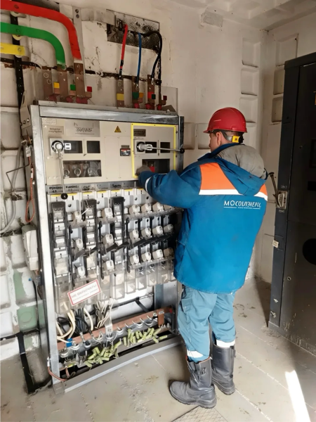 «Мособлэнерго» обеспечит надежным электроснабжением садовое товарищество «Березка»