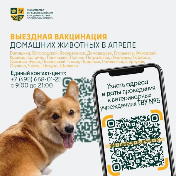 Старт сезона: в апреле в Подмосковье начинаются выездные вакцинации домашних животных 