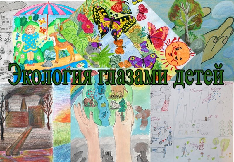 Воскресенские школьники - призёры регионального этапа Всероссийского конкурса экологического рисунка