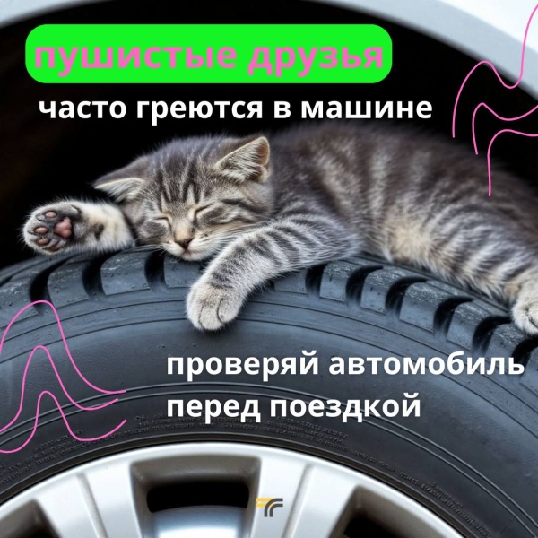 Вниманию водителей!