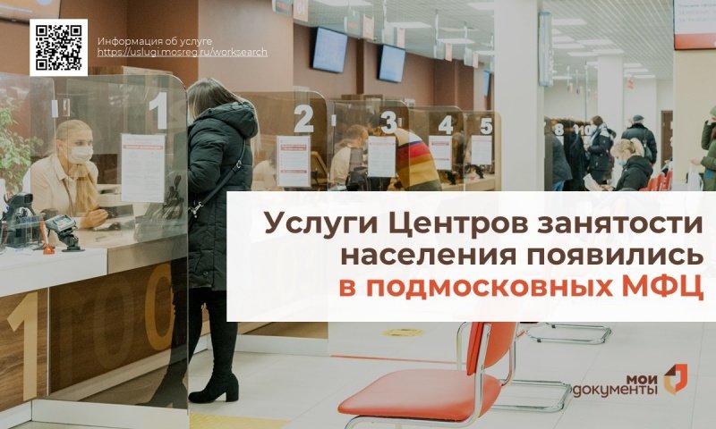 В подмосковных МФЦ появились услуги по содействию занятости