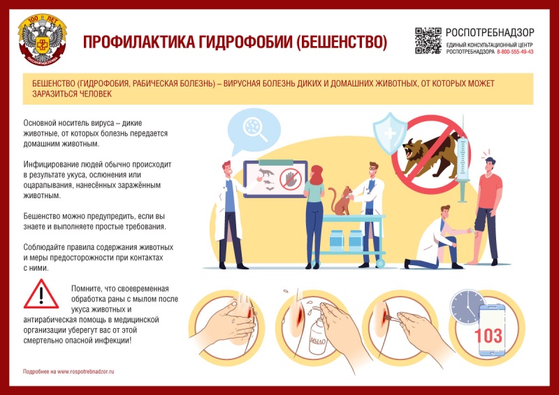 О мерах профилактики гидрофобии 