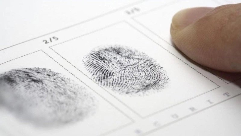 УМВД России по г.о. Воскресенск информирует