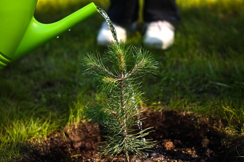 В Воскресенске пройдёт экологическая акция 