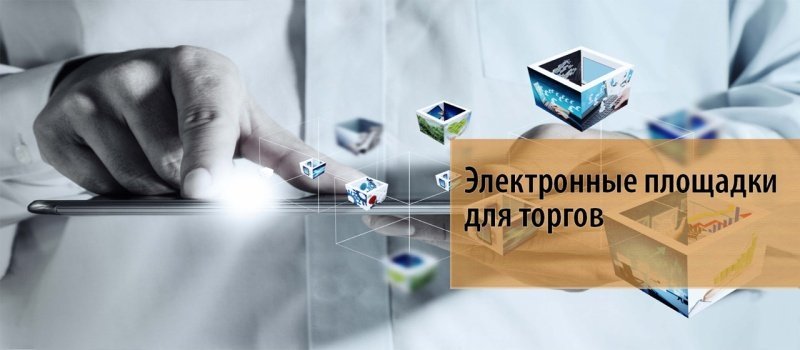 Для участия  в торговых процедурах