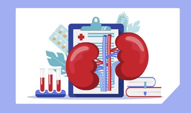 Заболевания почек и инфекции – есть ли связь?